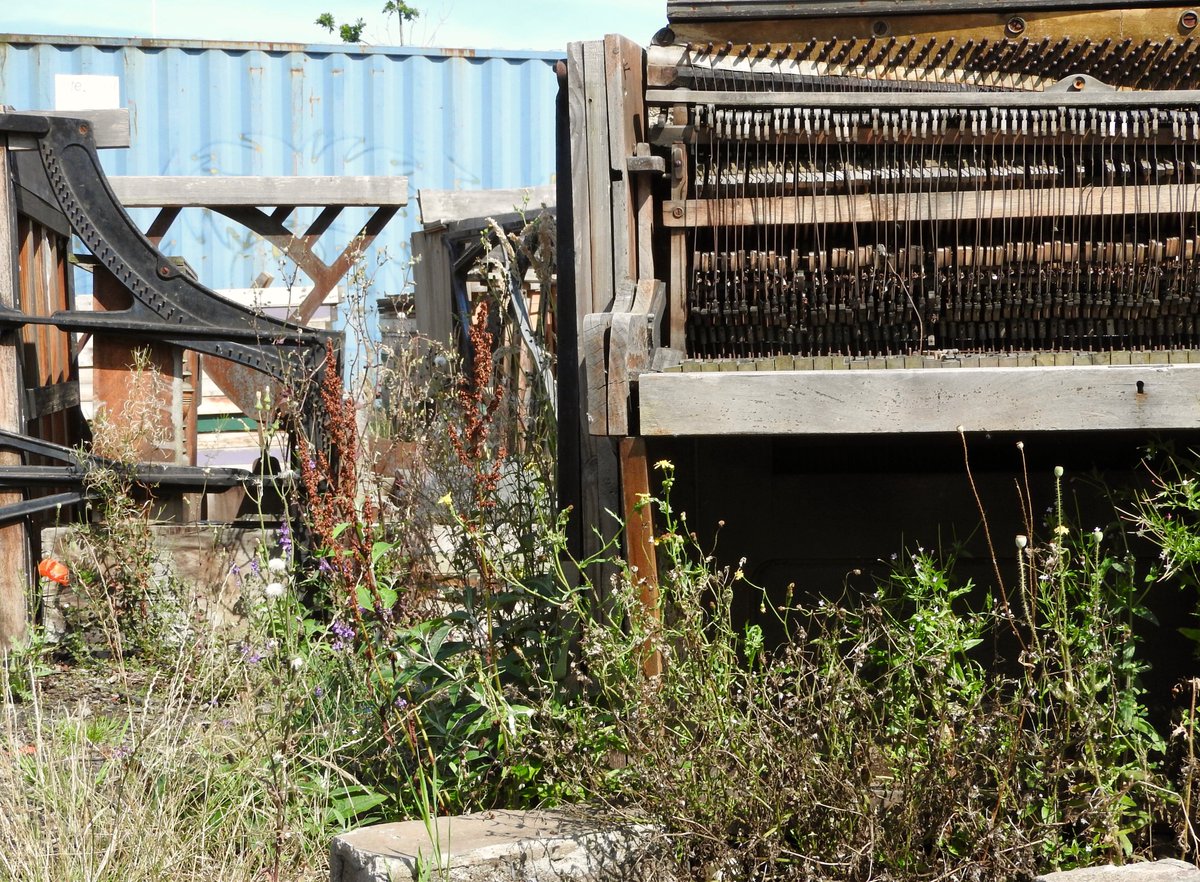 EdinburghForge's tweet photo. Many moons ago, when the Forge was still toddling, discarded pianos arrived in its playground. They became a baby Pianodrome. Now rain batters this wee pianodrome, and wildlife makes it home. And the grand Pianodrome stars at the Fringe! https://t.co/xnoVXo61pM
#edinburgh #fringe https://t.co/ME94Wuytuo