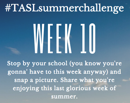 TASLTN's tweet photo. Enjoy this last summer challenge as you share a picture of your school or school library ('cause we know you're dropping by there at least once this week even if you haven't officially started). Share what you're reading as you get ready for 2019-2020. #TASLsummerchallenge https://t.co/3RyGVFItBN