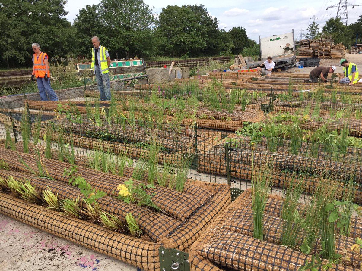 StonebridgeLock's tweet photo. What’s needed to redress #biodiversity decline?Action&amp;communal effort-many hands doing many actions to create #habitatforwildlife.As community “activists”we’ve been called troublemakers,here we’re in action troubling to do good:1st we built it #TottenhamFloatingReedbedProject 2/2 https://t.co/6rz4HUf23C