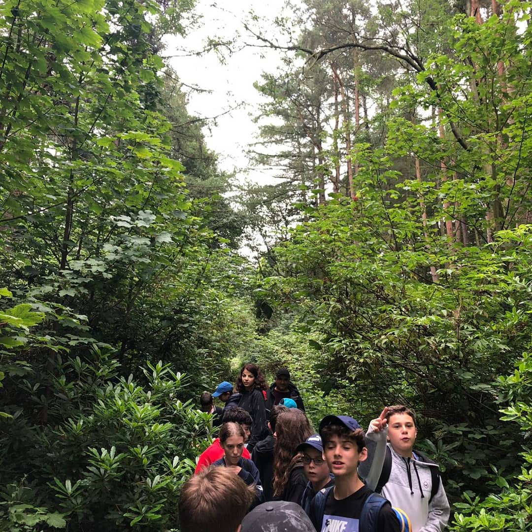 TheTribeUK's tweet photo. #campbarak #hiking #scotland #tribeUK #unitedsynaagogue #tribesummer19 #SummerCamp #SundayFunday https://t.co/RdmG3B6kYi