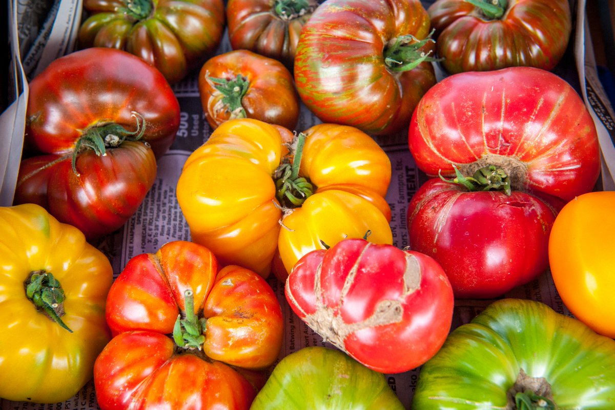 Maryland's Best tweet media