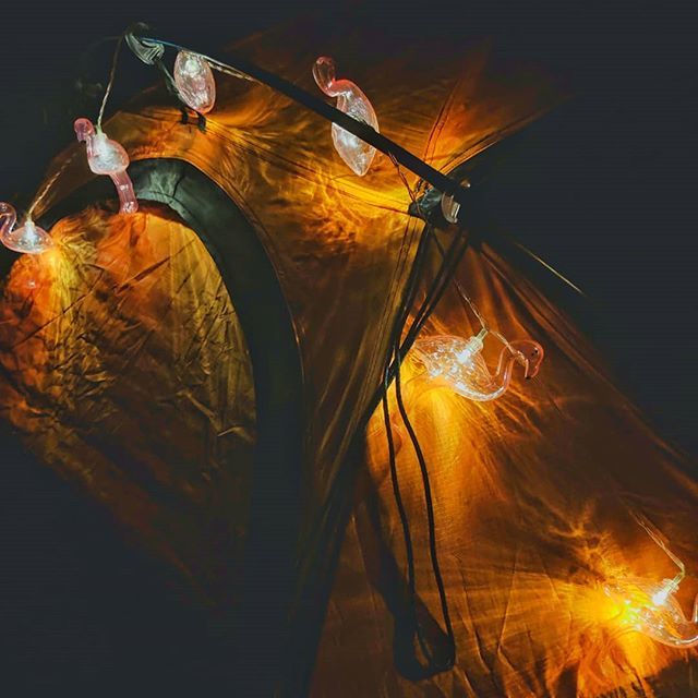 jayarr_kang's tweet photo. Flamingo light on the tent for when you want to be practical and pretty at the same time ⛺🌌 https://t.co/QAje6rzisK https://t.co/pEmjaProTg