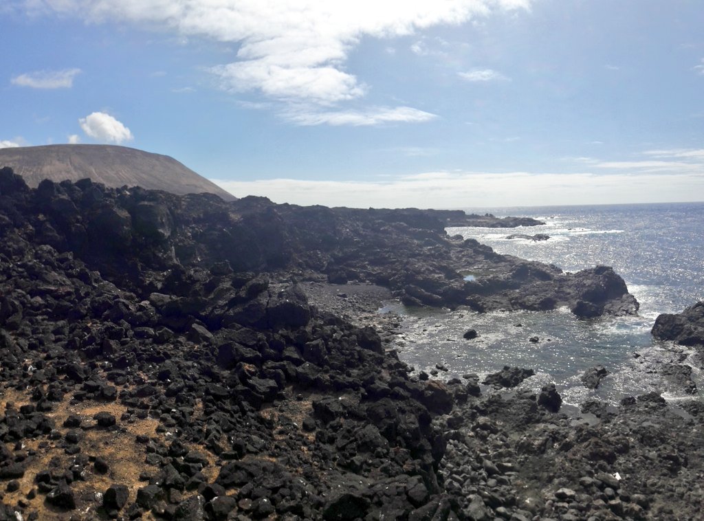 After 2 days of Twitter silence another update from Alegranza. Weather finally permitted a census of the east coast. This area is a bit of a ghetto, as many black morph males breed here, while the mountains are mostly occupied by pale males (no diff for females).  #EF2019 [35/n]