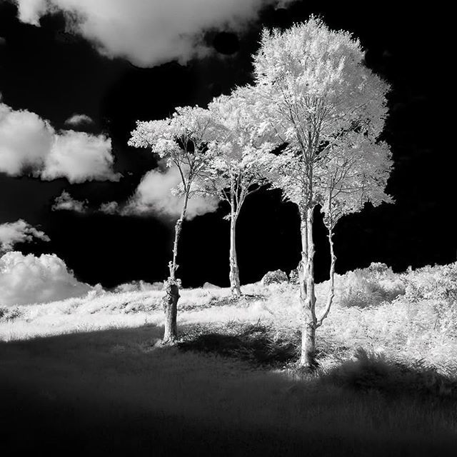 Just Posted New Infrared Art; ift.tt/2GI5hIz #CreativeIR #Infrared #Photography #InfraredPhotography