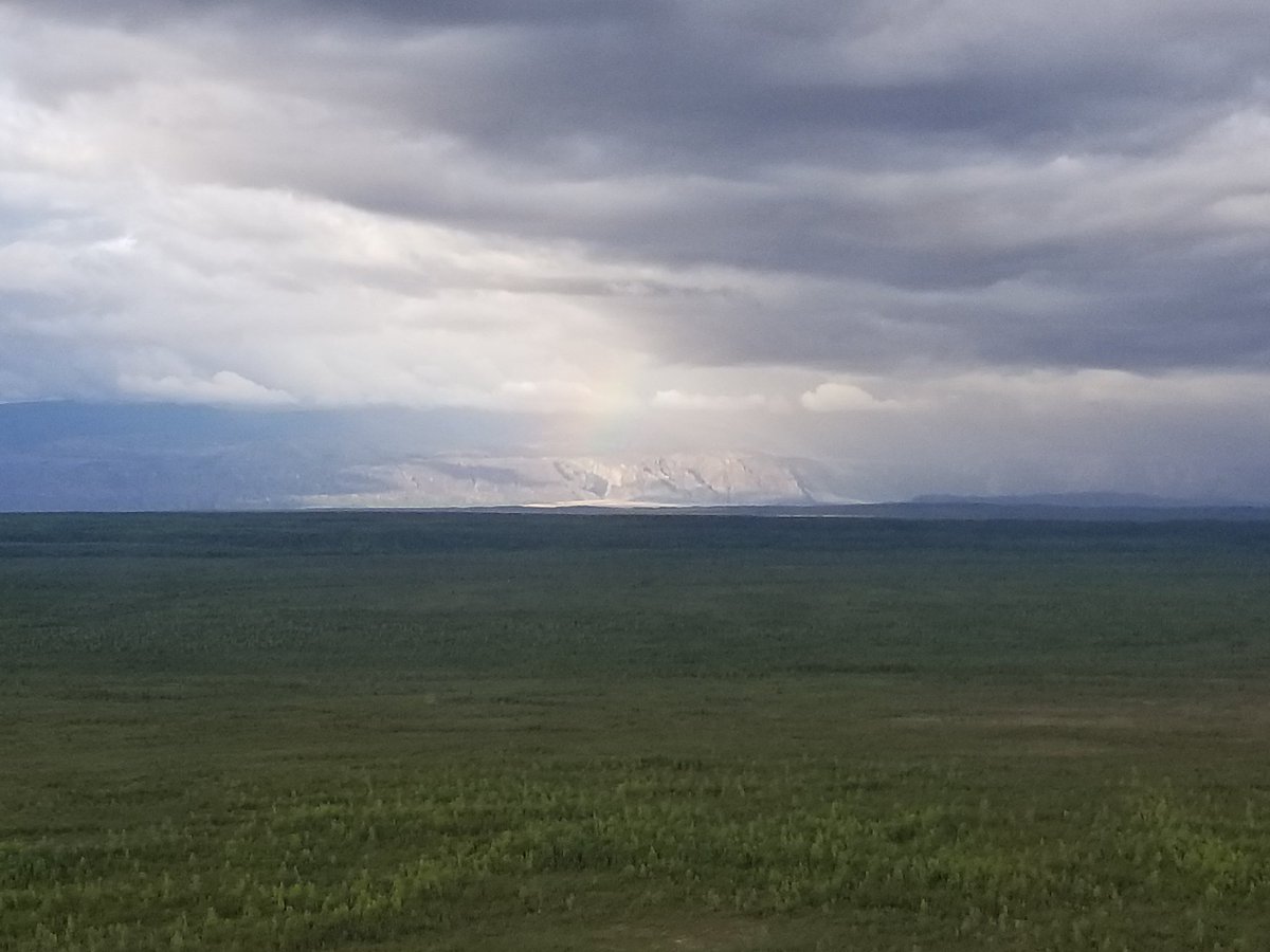 Dr. Ana Sniderhan tweet media