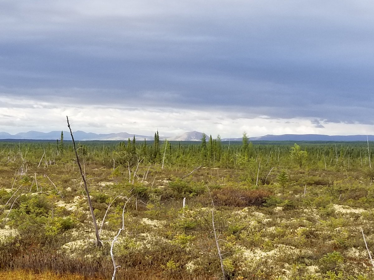 Dr. Ana Sniderhan tweet media