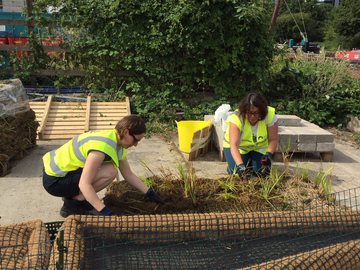 StonebridgeLock's tweet photo. What’s needed to redress #biodiversity decline? Action &amp; communal effort to create #habitatforwildlife. 1st we built it, then we planted native #wildflower plants for larval food, nectar forage, pollution mitigation &amp; birds nesting #TottenhamFloatingReedbedProject #HealthyRivers https://t.co/LuSNXvompJ