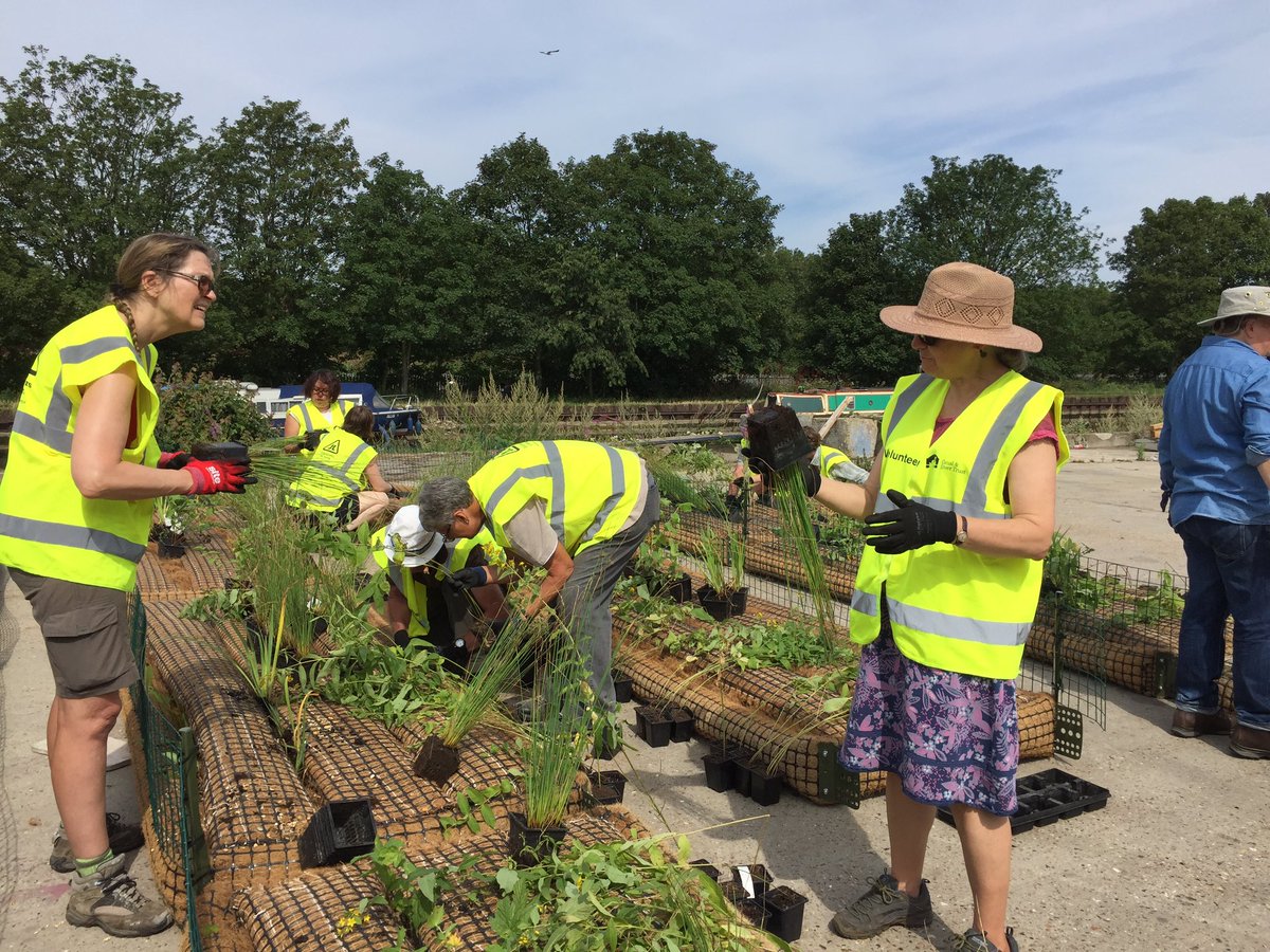 StonebridgeLock's tweet photo. What’s needed to redress #biodiversity decline? Action &amp; communal effort to create #habitatforwildlife. 1st we built it, then we planted native #wildflower plants for larval food, nectar forage, pollution mitigation &amp; birds nesting #TottenhamFloatingReedbedProject #HealthyRivers https://t.co/LuSNXvompJ