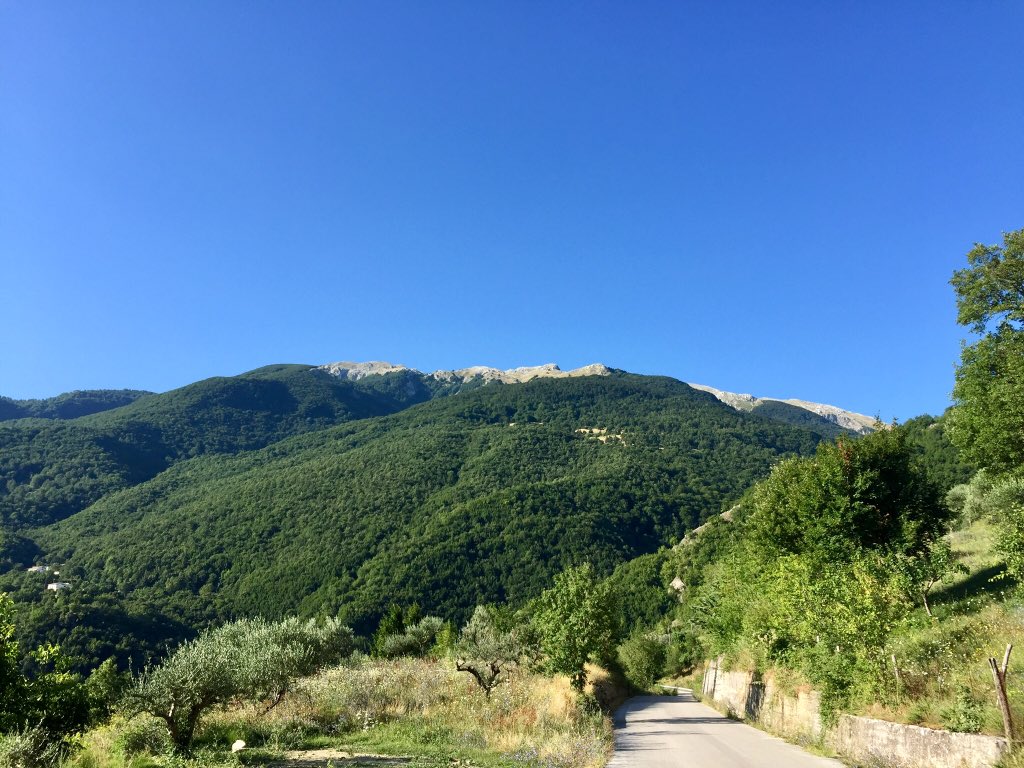 fraiovi's tweet image. Discover #Matese 
#iocorroqui
D+307m. Con fatica, sudore e sentimento!
@runlovers 
Best song: Feel Good Inc. [Gorillaz] 
youtu.be/HyHNuVaZJ-k