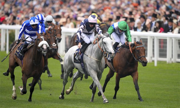 Timeform Racing tweet media