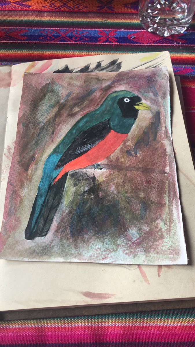 🍃Ilustración de aves en proceso 🍃