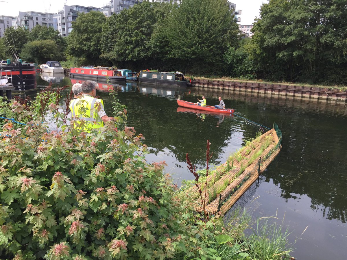 StonebridgeLock's tweet photo. What’s needed to redress #biodiversity decline? Action &amp; communal effort to create #habitatforwildlife. Many hands make light work: 1st we built it, then we successfully launched #TottenhamFloatingReedbedProject #HaleWharf #TottenhamLock #ByCommunityForCommunity #HealthyRivers https://t.co/89b5VngQjJ