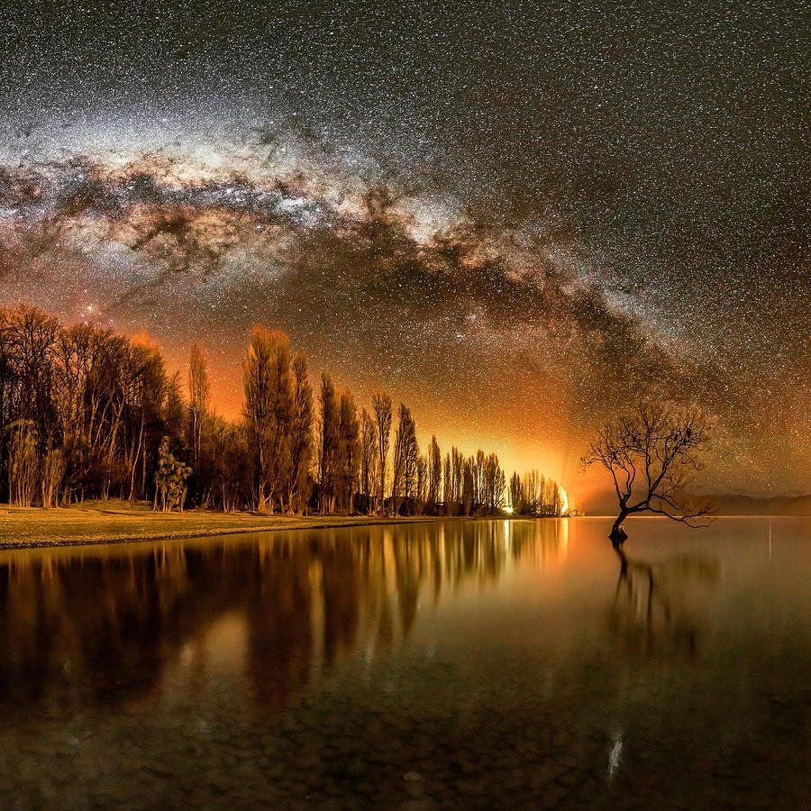 Be gentle with yourself.
You are a child of the universe
No less than the trees and the stars.
In the noisy confusion of life
Keep peace in your soul.

Max Ehrman
Pic Mike MacKinven