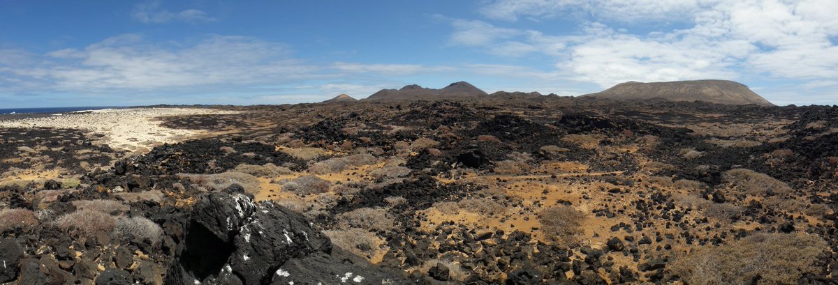 In short it was another great day innthe Eleonora's Falcon project, and the awesome landscape of Alegranza's east coast only made it better.  #EF2019 [39/n]