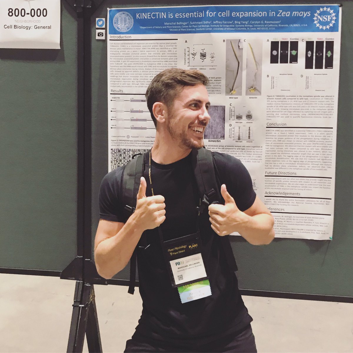 marschal_b's tweet photo. Want to find out about microtubule organization and cell shape? Ask me about KINECTIN during the poster session presentations tonight and tomorrow (Cell Biology Section 800) @ASPB @ASPBPlantBioMtg #PlantBio19 https://t.co/3315BfuQOE