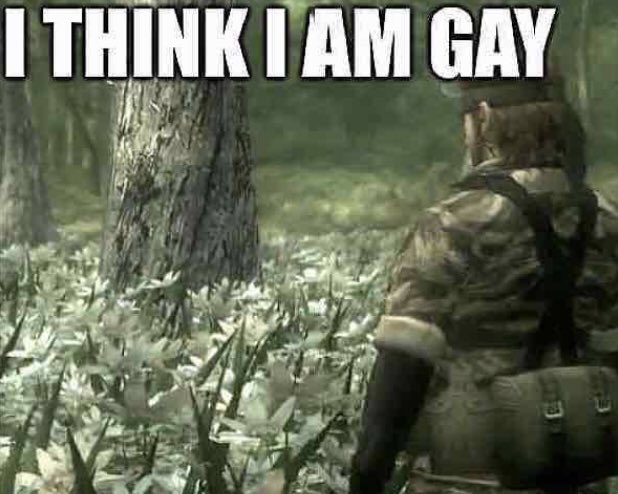 cropped mgs memes tweet media