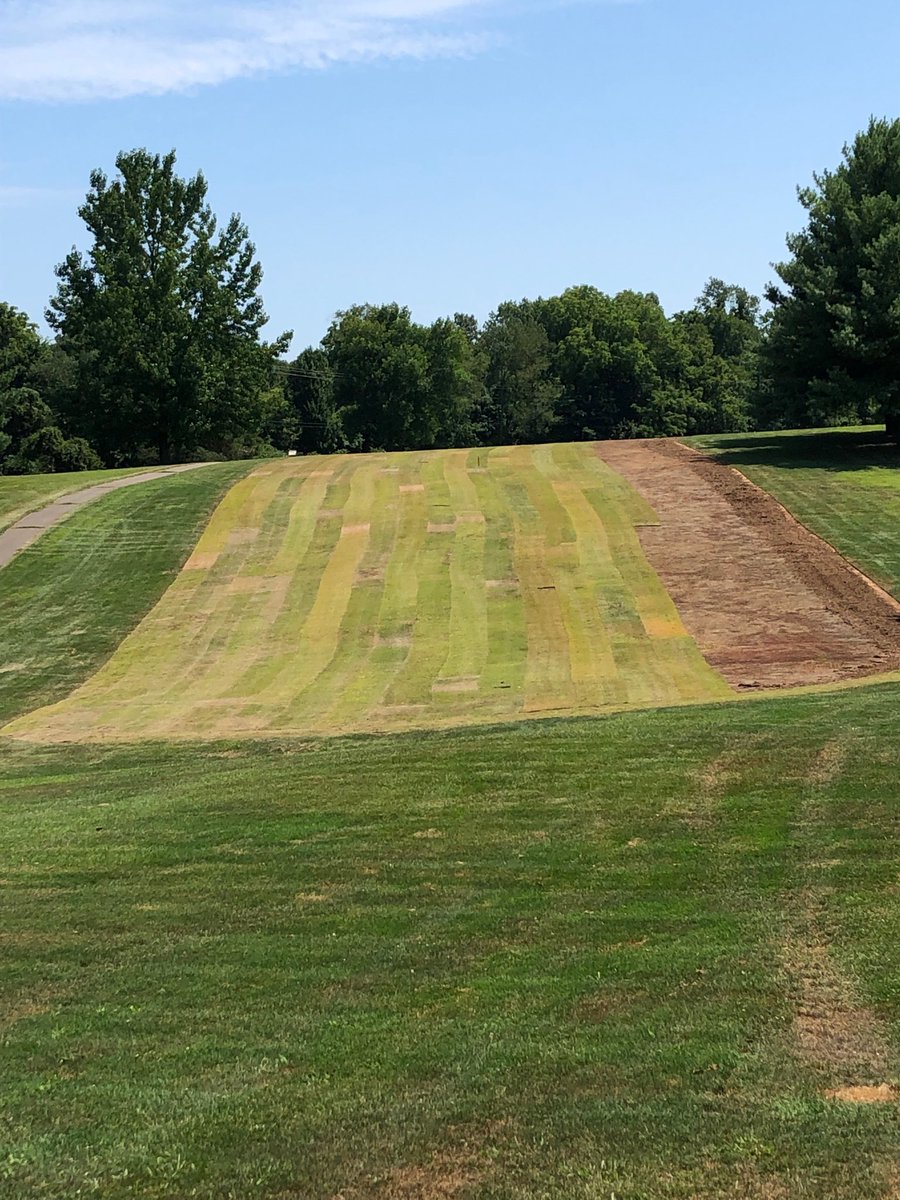 Quarry 4 Zoysia 
Making Progress