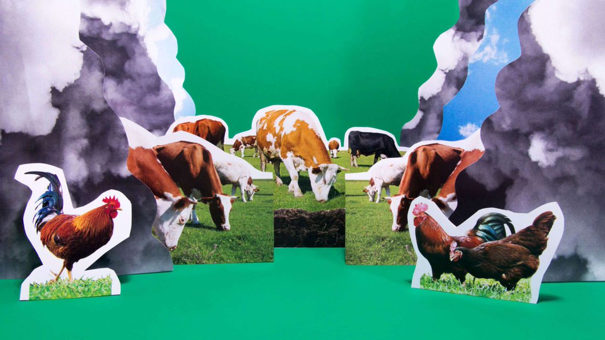 Is it possible to raise a carbon-neutral cow? buff.ly/2MuHiR4