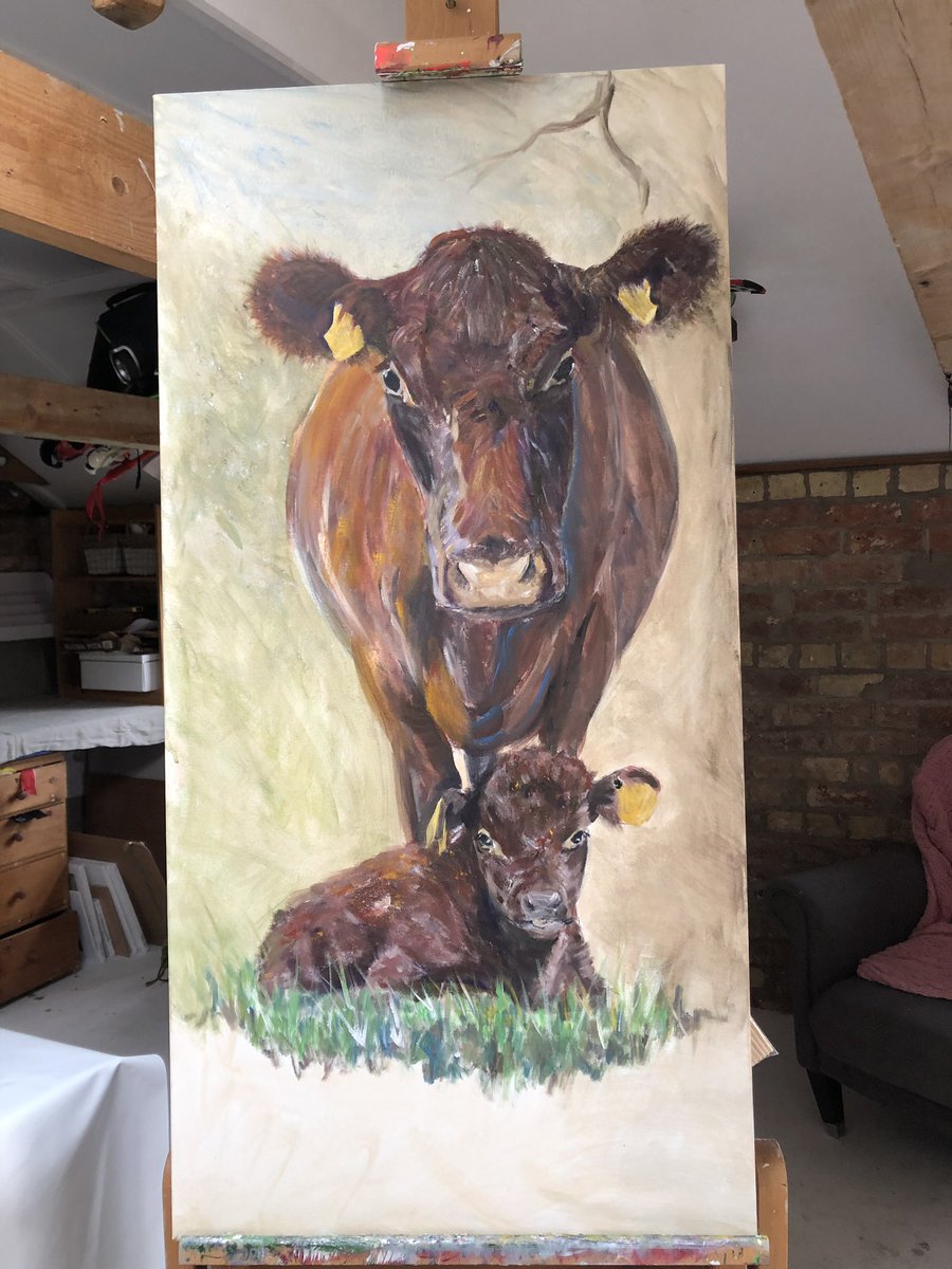 JaneHaighArt's tweet photo. I love painting our local breeds - here is a lovely Lincoln Red mummy with her calf work in progress. Commissions are welcomed. #Lincoln #lincolnred #cow #beefcow #calf #Lincolnshire #rarebreed #LincolnRedCattle https://t.co/q0I7n54KRx