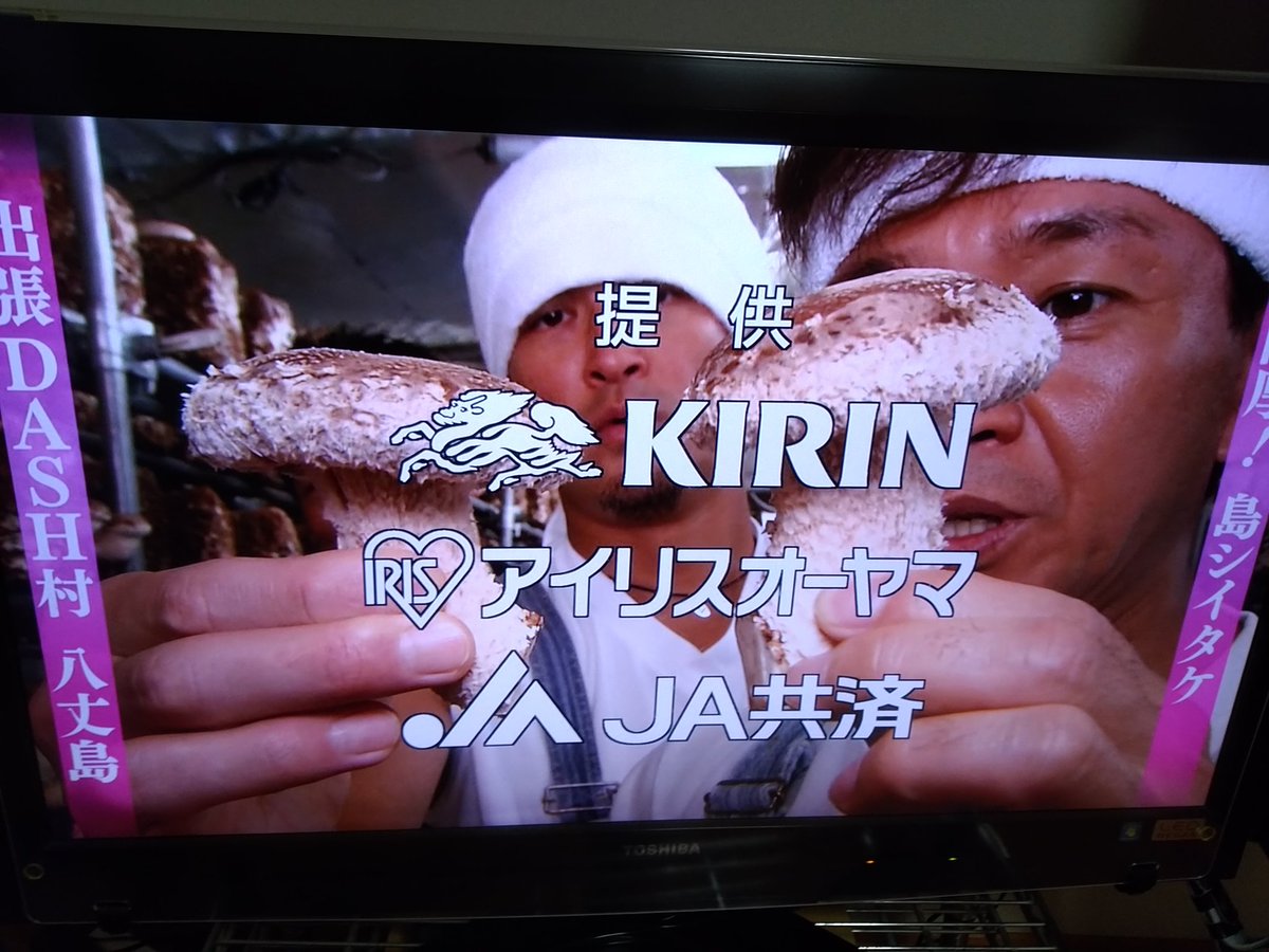 みさき Twitterissa 次回のザ鉄腕dashは八丈島の島しいたけ 日本テレビ系で11日 日 よる7時から 八丈島 きのこ