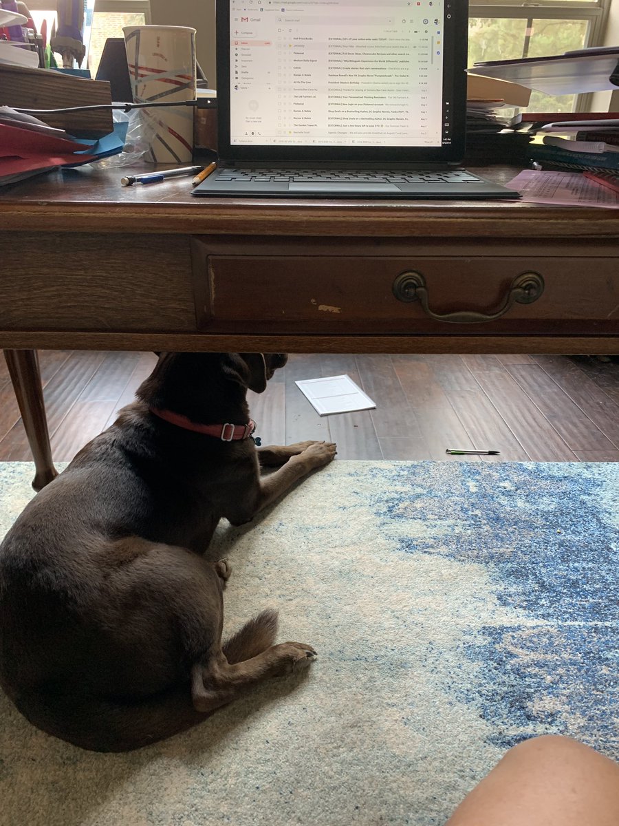 ScienceandMathT's tweet photo. After a summer filled w/ professional development, I am ready to rock 2019 #backtoschool, just one question.. can I bring my #officeassistant? #thequestdifference https://t.co/dmjC6Oquqw