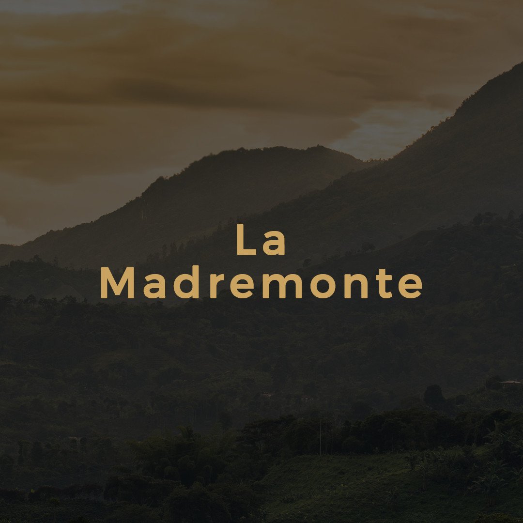 PenelopeBirding's tweet photo. The first story that we gonna tell you is: La Madre Monte, it's a classic myth that you can hear in many regions of Colombia 🍃😱

#ColombiaIs #Colombia #Story https://t.co/YWCiLzByZT