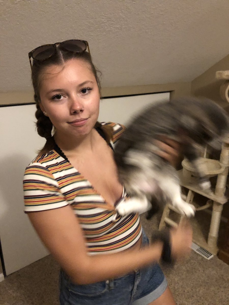 chasebryant7's tweet photo. “Take a picture of me and this cat” https://t.co/Mea0jL35df