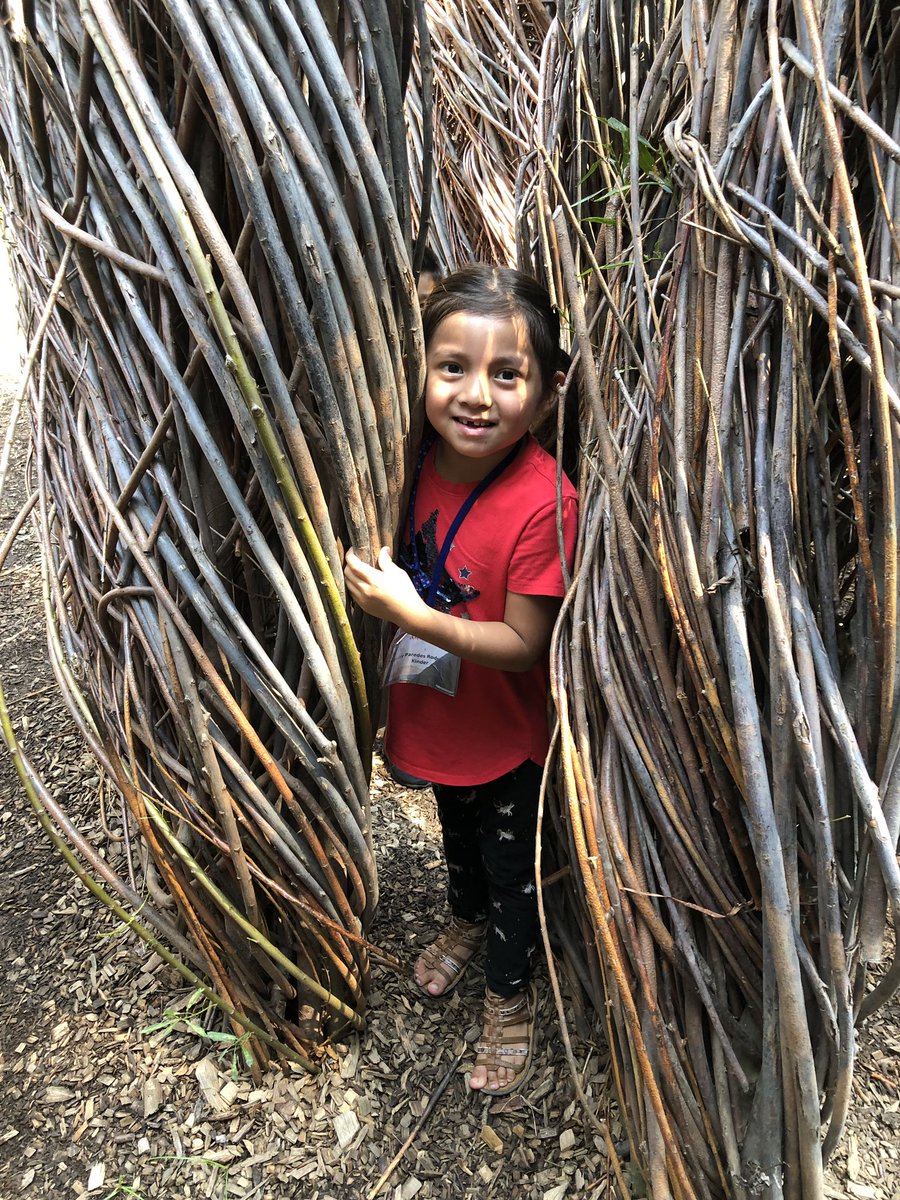 _ACLAMO_'s tweet photo. @morrisarboretum Our kids love it! It is wonderful! #ACLAMOSummerProgram https://t.co/Ts2vKF0Ysy