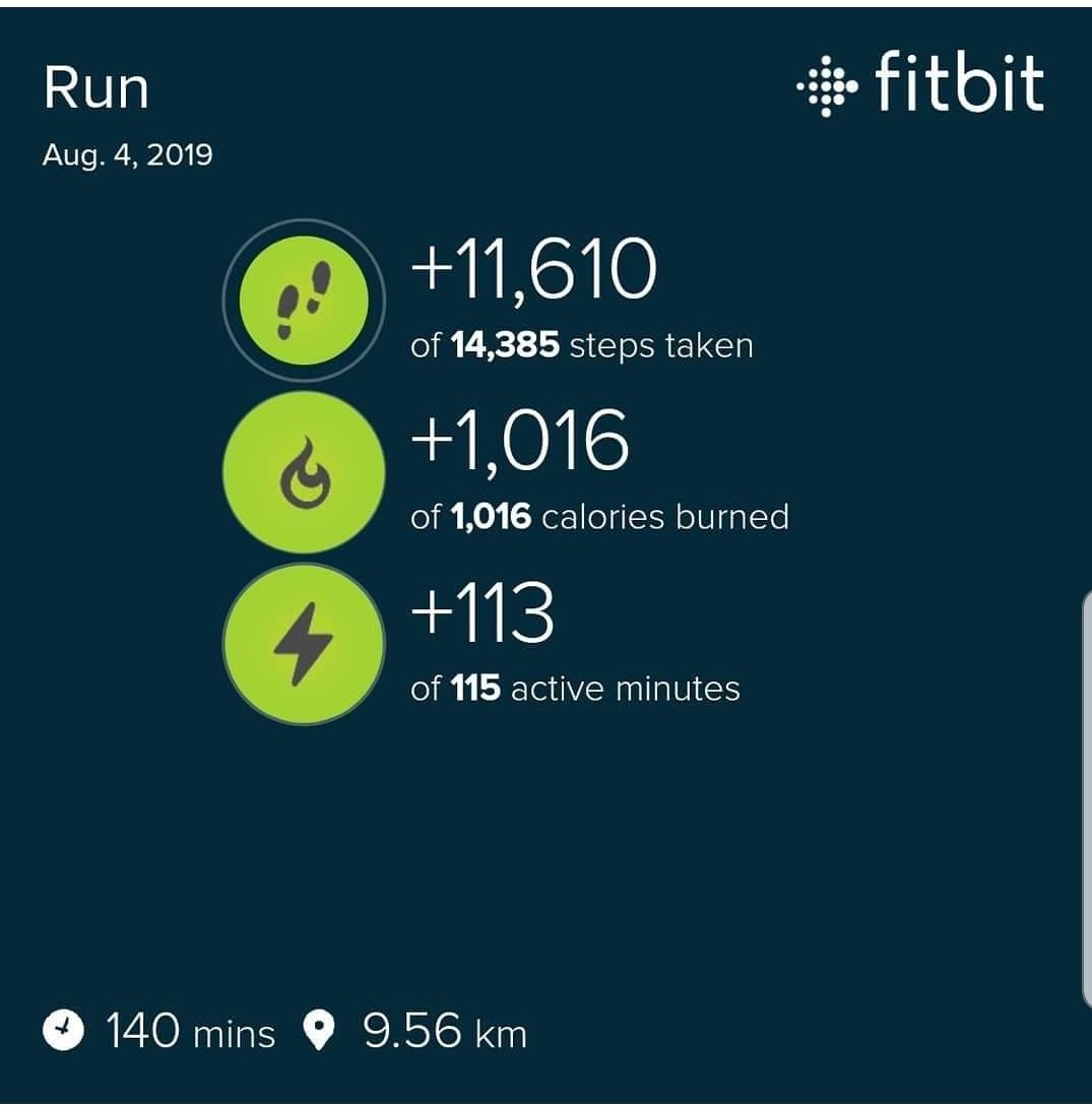 DEPUTYHOFFMANN's tweet photo. Went for a short 3km trail run before breakfast.  Made a wrong turn. Got lost. #poorAva #bulldogproblems https://t.co/mz15WrjzsD