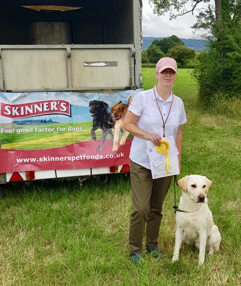 Wbardsley2's tweet photo. Delighted with third place at the #Wiltshire working test today #gundogs #biddablebardsley #countryside #blogger https://t.co/FSm8GwwxDq