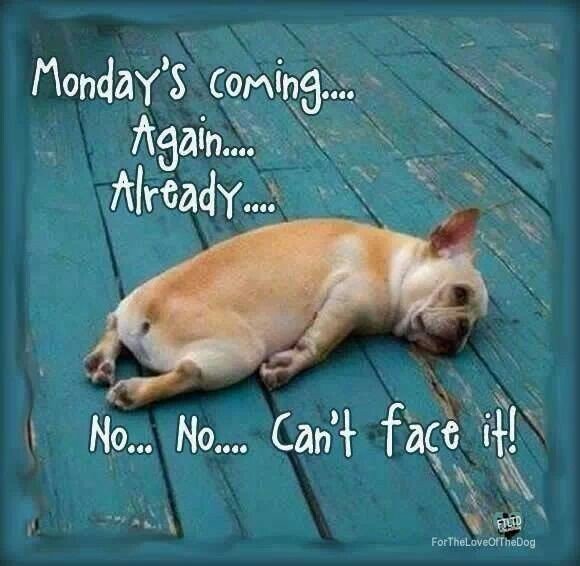 susiestar11's tweet photo. After a fab week off work & being spoilt with lots of sunshine & fun, this couldn't be more me tonight โ๏ธ๐ #wasgoodwhileitlasted #hello6amalarm https://t.co/MLxX8ir2cC