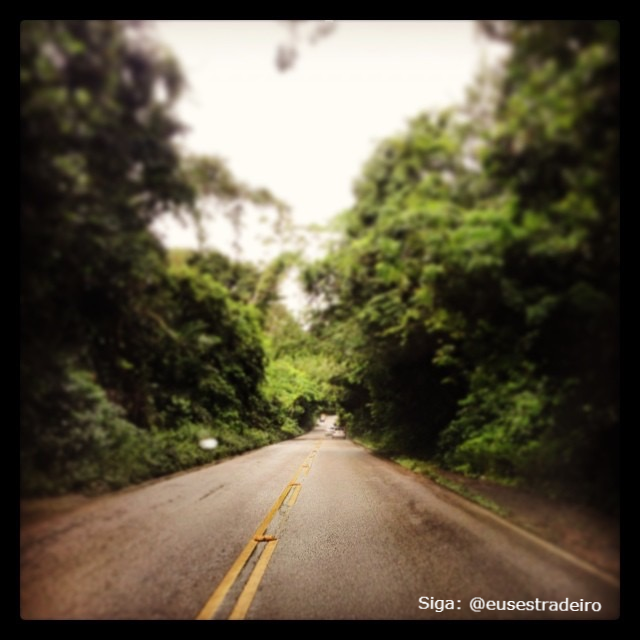 euestradeiro's tweet photo. PE-060, litoral pernambucano, em direção ao litoral alagoano, à Maragogi.
Trecho que passa pela reserva de mata atlântica na altura da praia de Tamandaré-PE.
🚙🛣🇧🇷☀🏖
#euestradeiro #viajandodecarro #dirigindonaestrada #pe060 #tamandare #maragogi #pernambuco #alagoas #praia https://t.co/07A0hJdztD