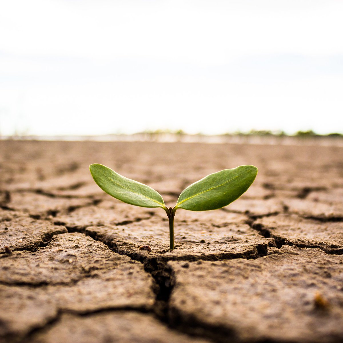wearecleanH20's tweet photo. 85% of the world population lives on the driest half of the planet #Drought #WaterWars #Conservation https://t.co/Wl5nZuIPPL