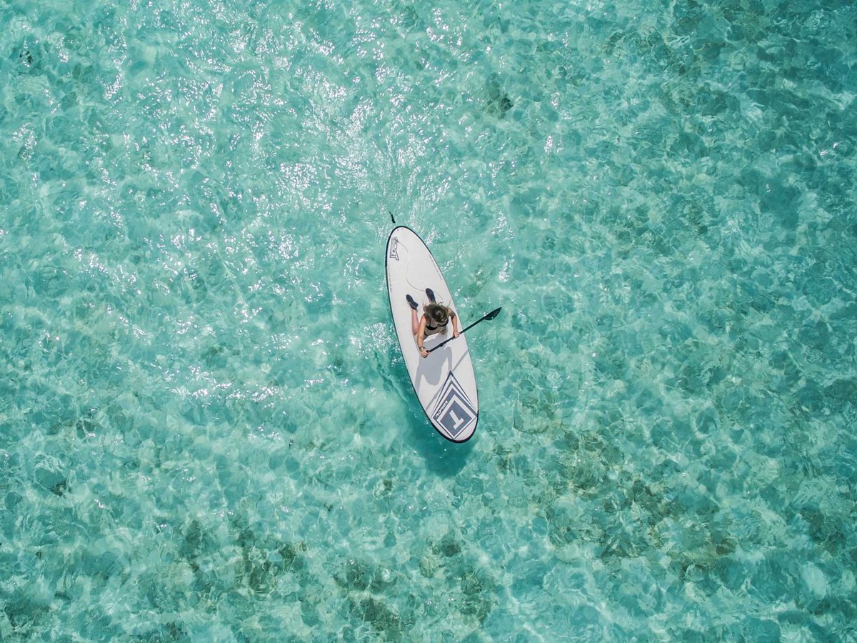 PebbleMagazine's tweet photo. Vitamin D doesnāt have to come at the cost of healthy skin. These ethical suncream brands donāt bother with toxic chemicals and polluting packaging.
#CleanToSkin #CleanToPlanet
https://t.co/5a9nqve6fD https://t.co/yecYD8ZGXi
