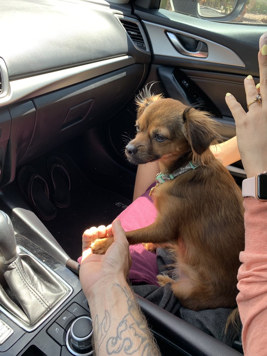 mikegaboury's tweet photo. I miss driving manual sometimes but holding hands is nice too. https://t.co/UH1DfNFEZS