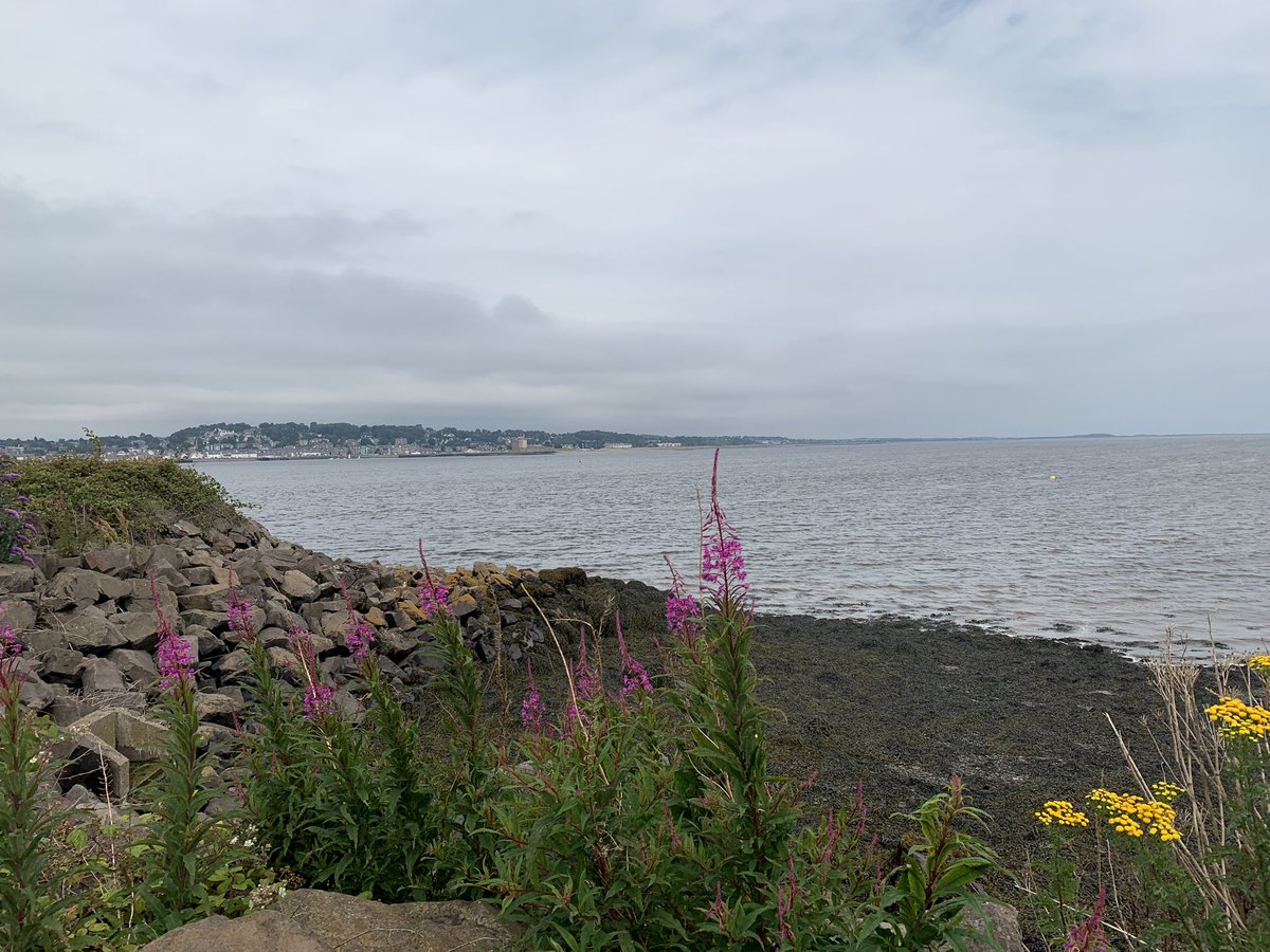 physiojen13's tweet photo. #AHPsActive today - Marathon Training. 16.6 miles along the #FifeCoastalPath - so warm but a lovely run! #loveactivity #physiotherapy #TeamWARC https://t.co/1CZeJicRXs
