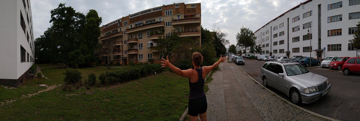 Tim de Haan tweet media