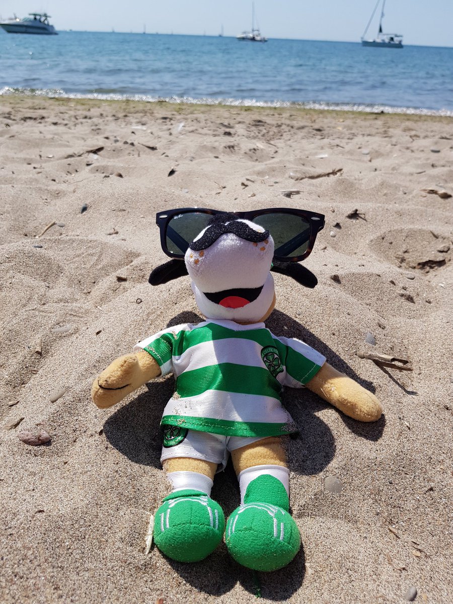 BartTours's tweet photo. Hoopy catching some rays and relaxing after a busy tour #chill https://t.co/inejXuvnKw