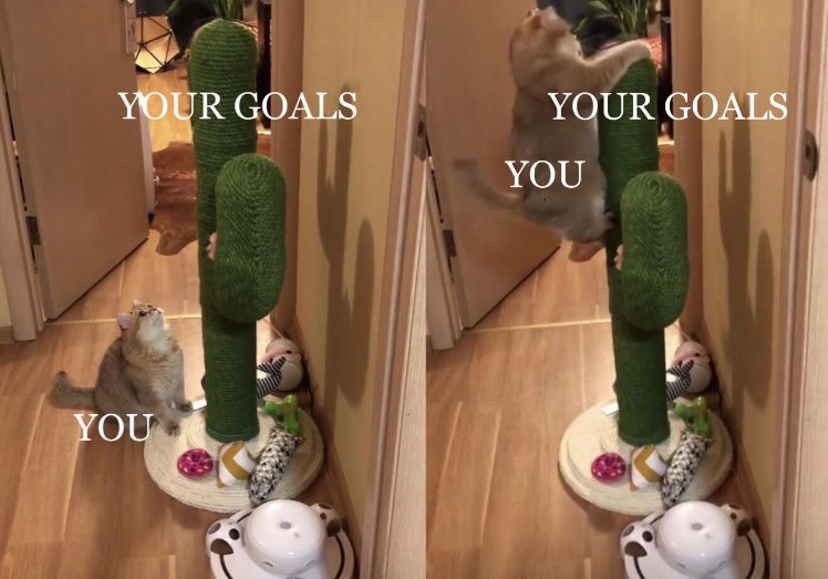 Respectful Memes (@respectfulmemes) on Twitter photo 