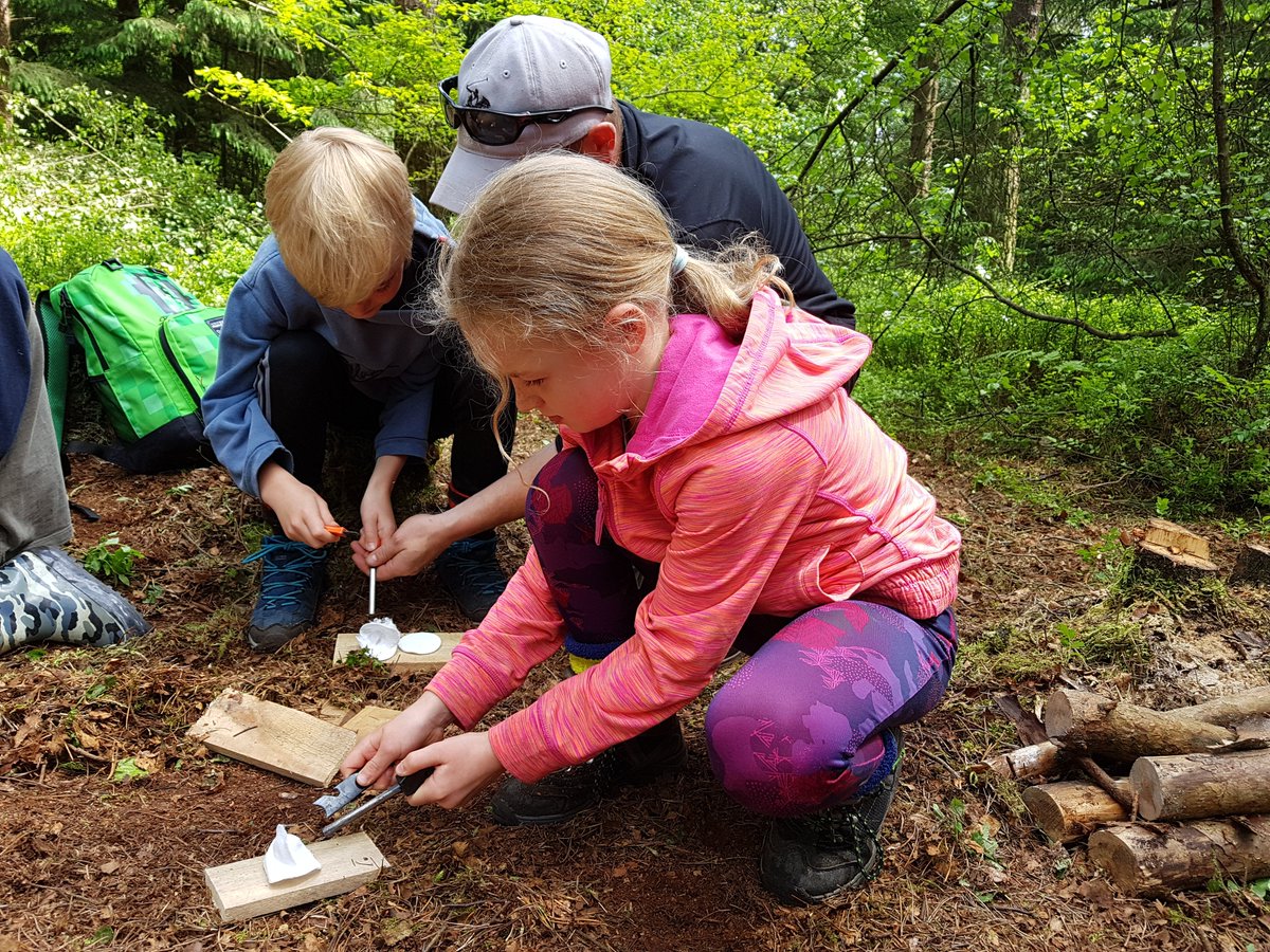 Hidden Horizons tweet media