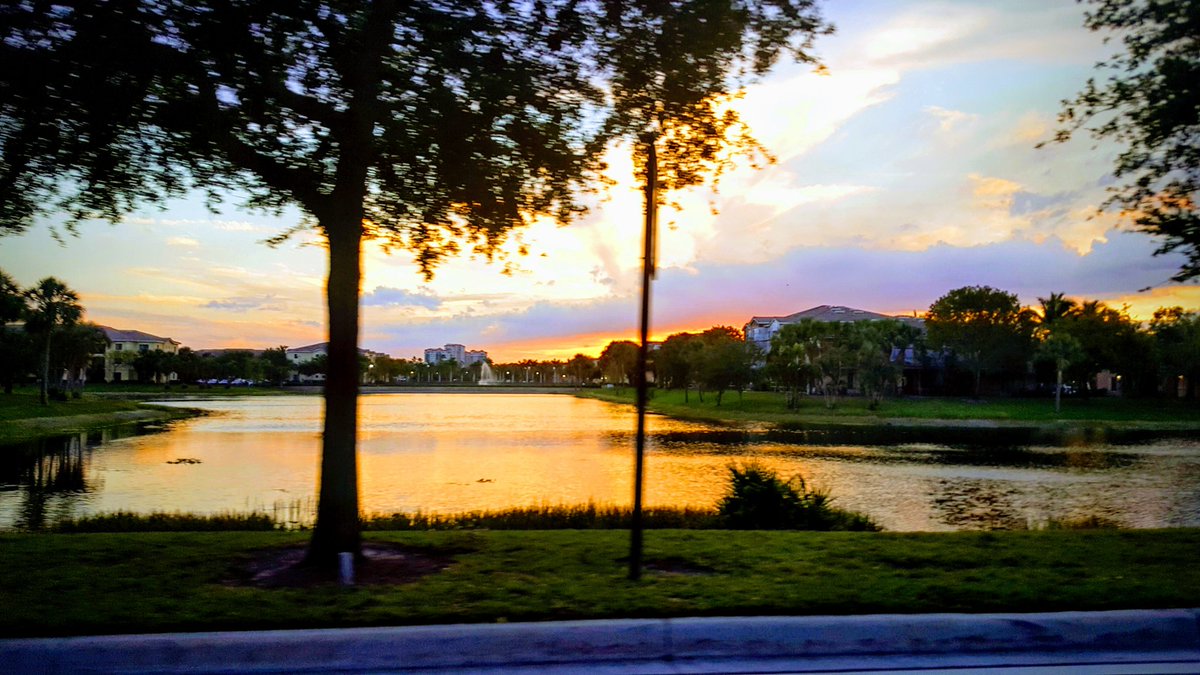 #Sundaysunsets #gardens #daily