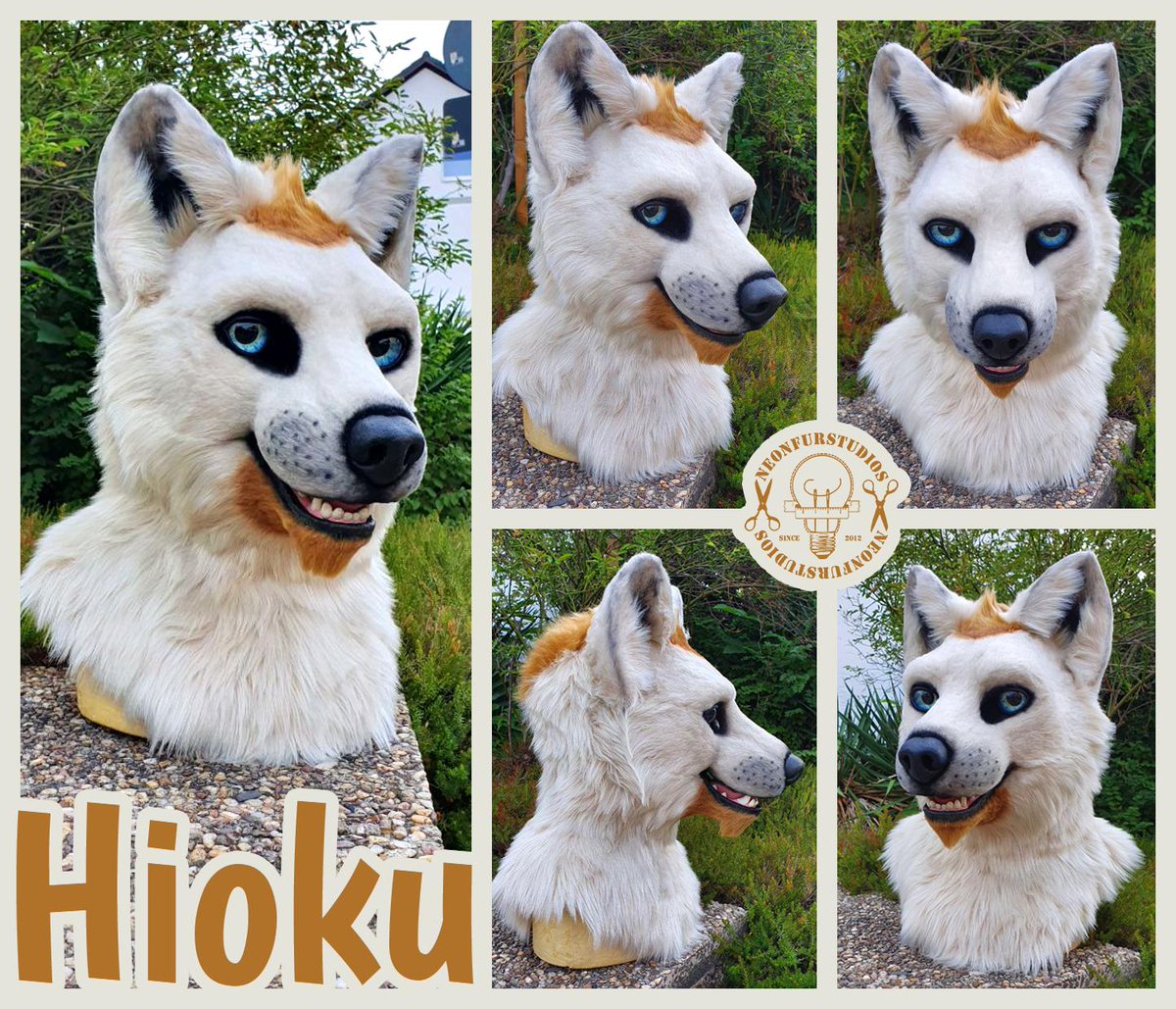NeonFurStudios's tweet photo. Our first semi realistic fursuit since many years!
We welcome @HiokuYue to our #NFSFamily =)
Headbase is from @DvC_Ciara
#NFSNewbie #Fursuitmaker https://t.co/vEPxdW06UK