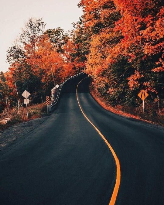 alexxweaverr's tweet photo. autumn is the best season &amp; NO ONE can change my mind 🎃🕷🕸🍂 https://t.co/CjzYiQAqR3