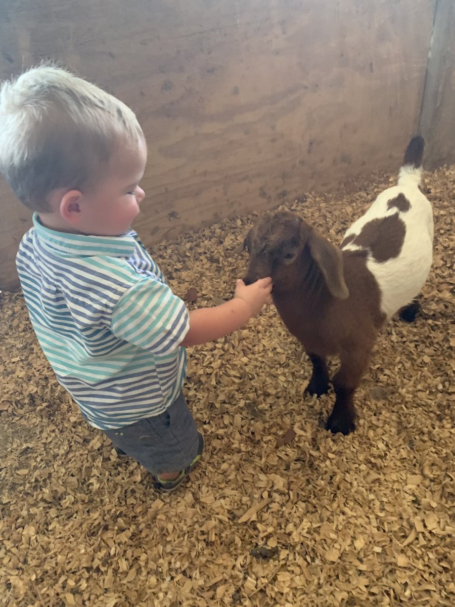 JKapchinski16's tweet photo. My sweet world,these two boys! They think they are just loving another animal (they are) BUT we are also showing them the responsibility in taking care of an animal! #thelittlestthings #farmlife #beingPRESENT #Boymama https://t.co/hi7Lxzt90a