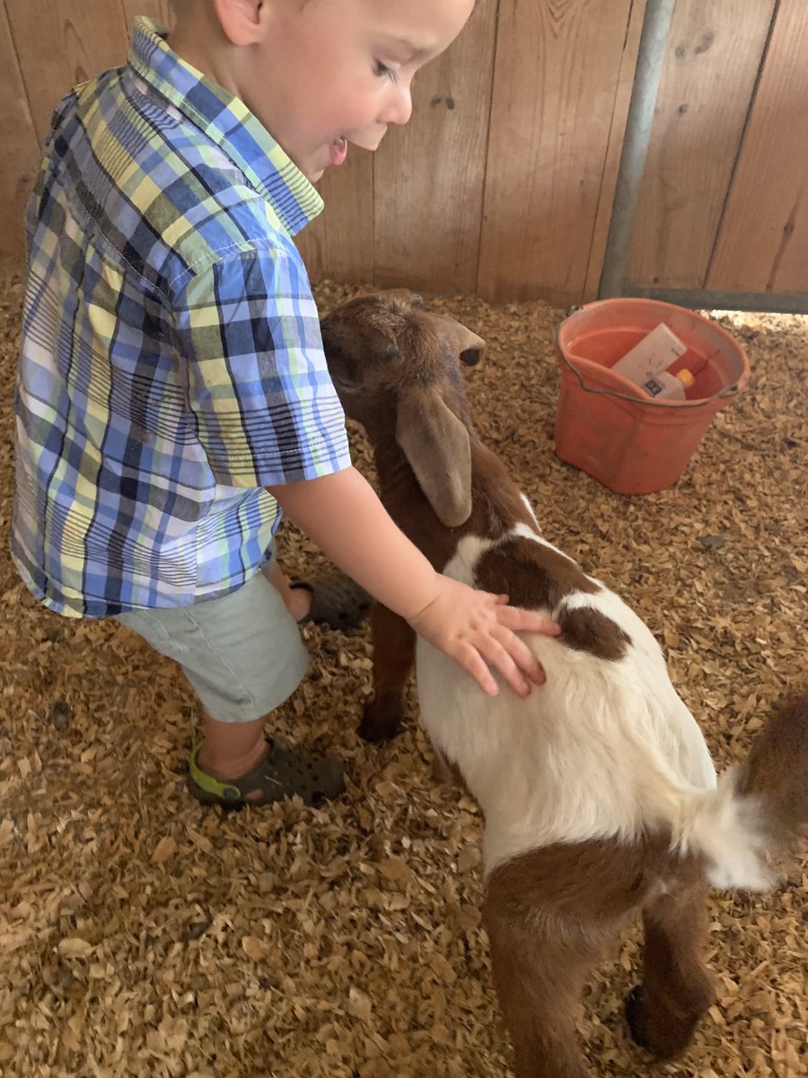 JKapchinski16's tweet photo. My sweet world,these two boys! They think they are just loving another animal (they are) BUT we are also showing them the responsibility in taking care of an animal! #thelittlestthings #farmlife #beingPRESENT #Boymama https://t.co/hi7Lxzt90a