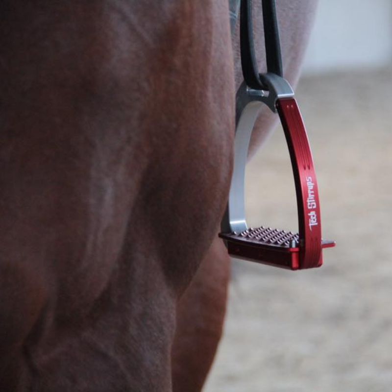 LD Equestrian tweet media