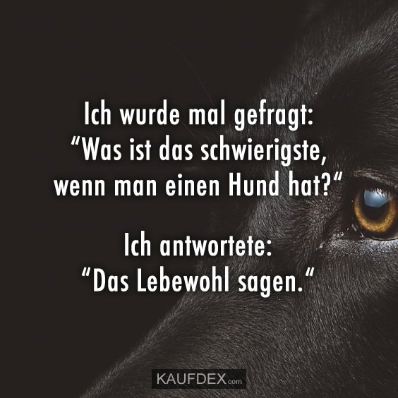 Download Lebewohl sagen Desktop Wallpaper Lebewohl Sagen