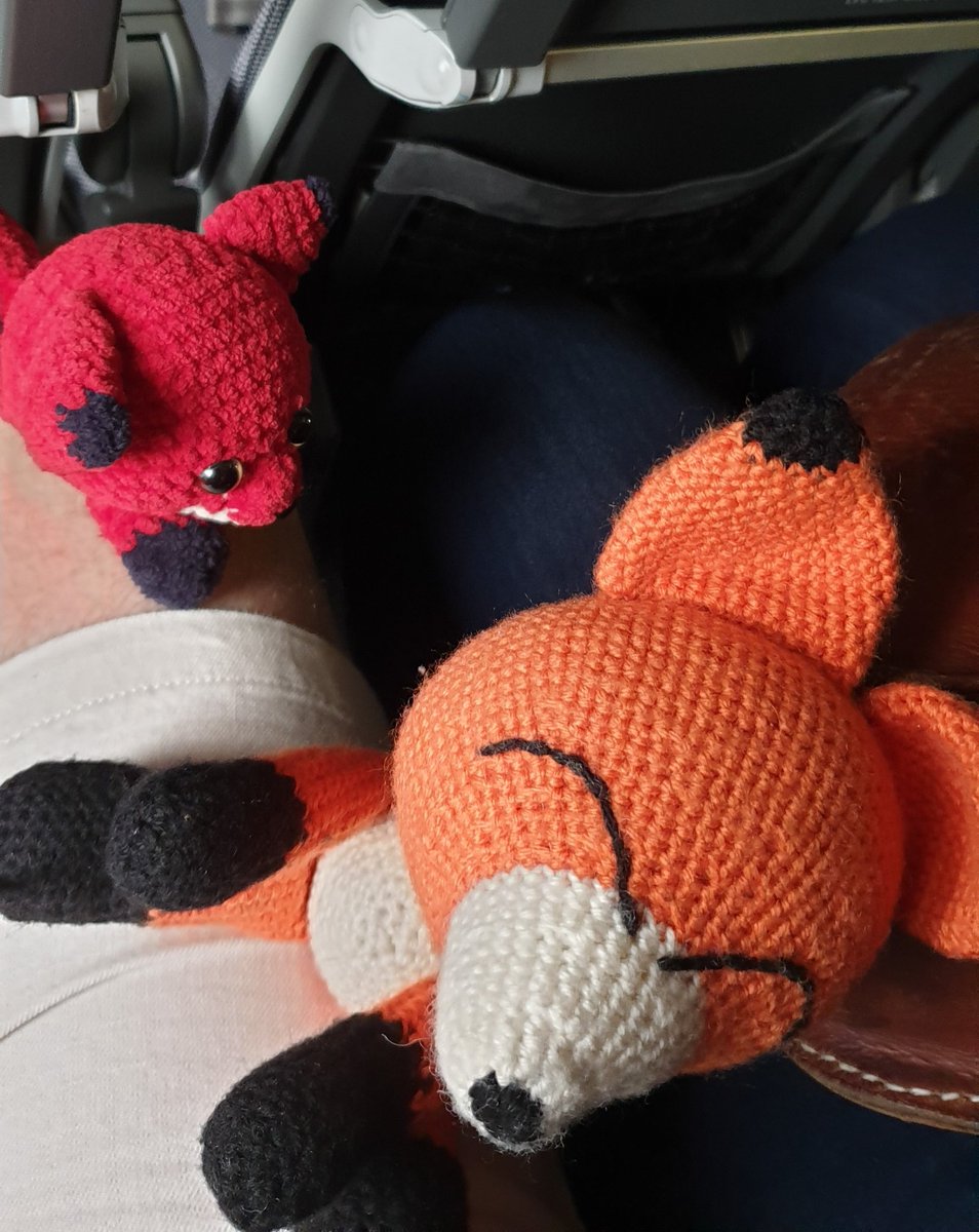 Trott_WCA's tweet photo. We are flying @flysas ! https://t.co/aBgaYPniac