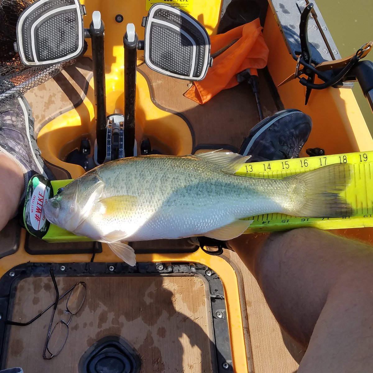bryanrowfishing's tweet photo. A little better one this week https://t.co/VQYmrWm2pU