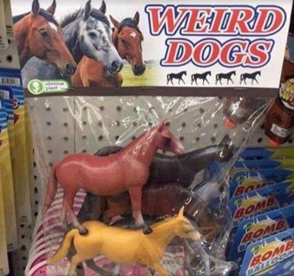 ty_tester's tweet photo. Is that a mastiff? https://t.co/4nv29jlnGl